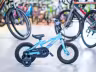 MERIDA Matts J12