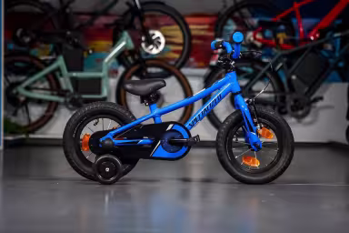 SPECIALIZED Riprock Coaster 12