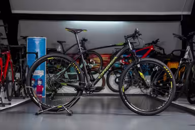 Orbea Alma
