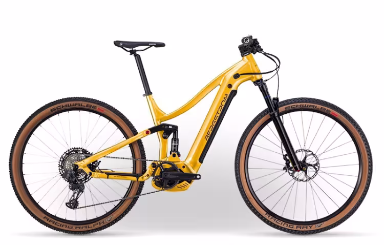 Bergstrom XCV 829