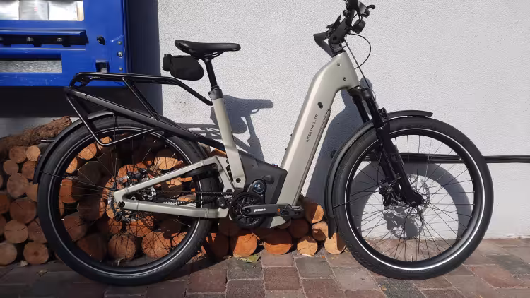 Riese & Müller Homage 5 Gt Pinion
