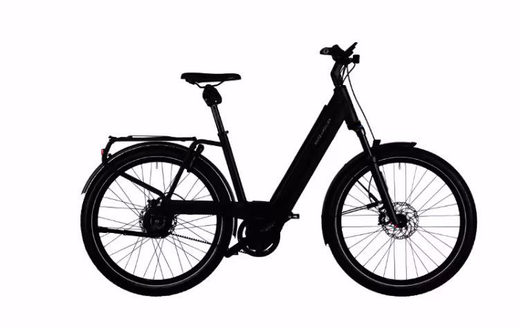 Riese & Müller Nevo GT vario