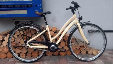 SPECIALIZED Globe Vienna Dx3