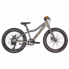 SCOTT Roxter 20 silver