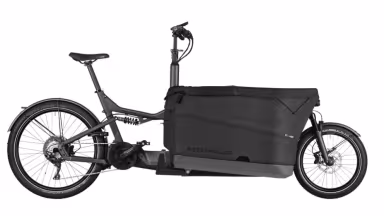 Riese & Müller Packster 70 Vario