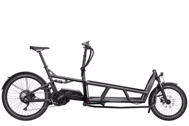 Riese & Müller Load 75 touring