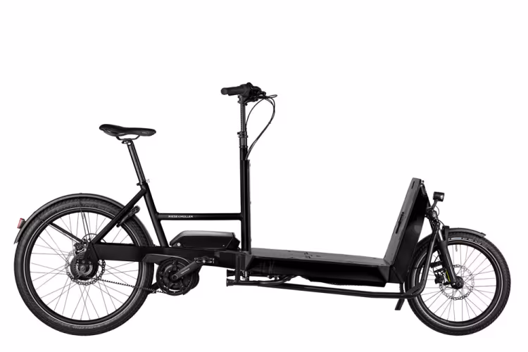 Riese & Müller Transporter 65 Vario