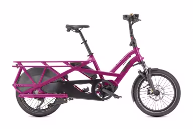 TERN Gsd S10