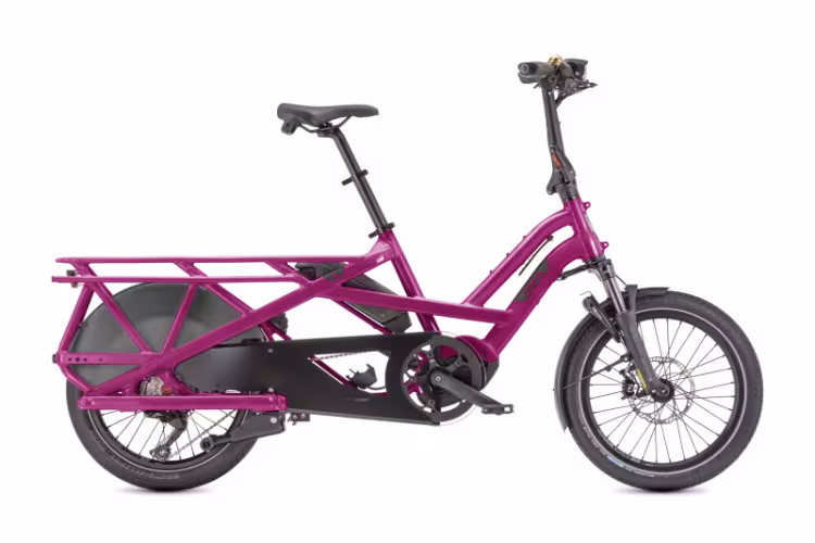 TERN Gsd S10