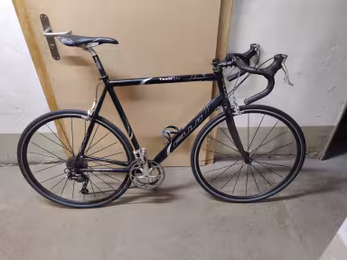 Fuji Team