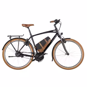 Riese & Müller Cruiser Vario