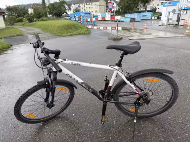 Crosswave S1000