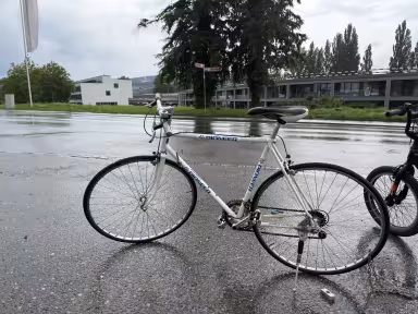 Pinarello Pioneer