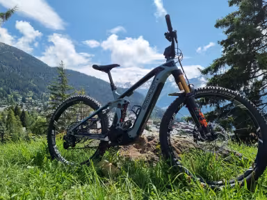 Simplon Rapcon Pmax M
