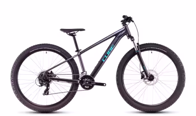 Cube Acid 260 Disc