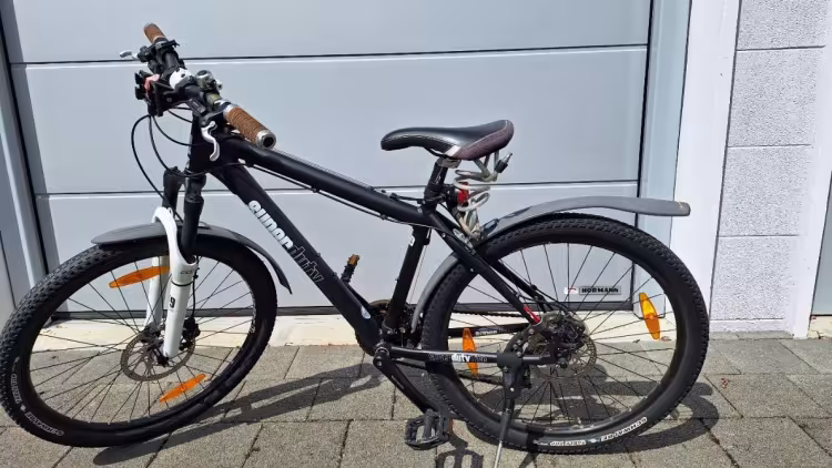 VILLIGER Herrenrad