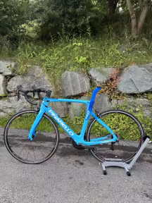 Pinarello Prince Fx T900