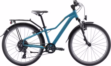 Mustang Appaloosa 24