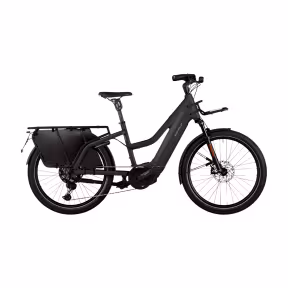 Riese & Müller E-Bike Cargo Multicharger2 Gt Touring Hs 45