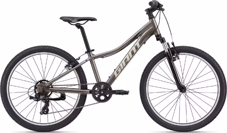 Giant XTC JR 24