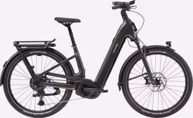 Cannondale Tesoro Neo X1 Lsth