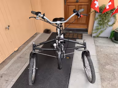 Helkama E-Trike