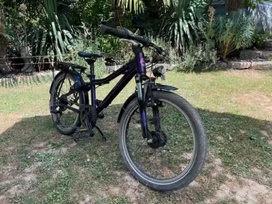 Bergamont Revox 2