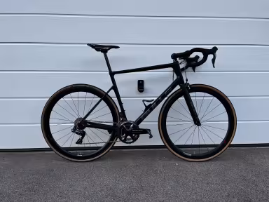 Bulls Nighthawk