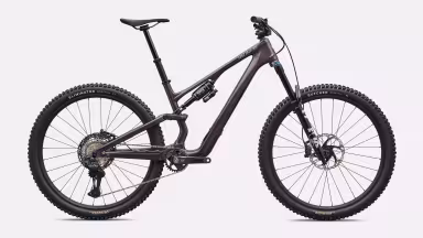 SPECIALIZED Stumpjumper 15 Expert
