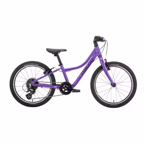 Naloo Chameleon Mk 2.1