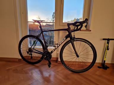 Stevens Comet Custom