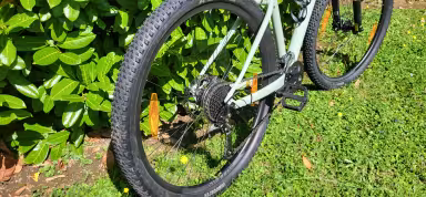 SCOTT Contessa Active 40