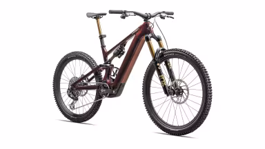 SPECIALIZED Levo Sw Carbon G4