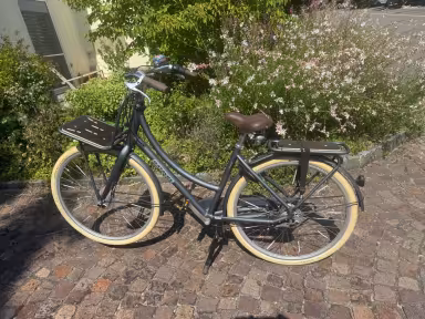 Batavus Other