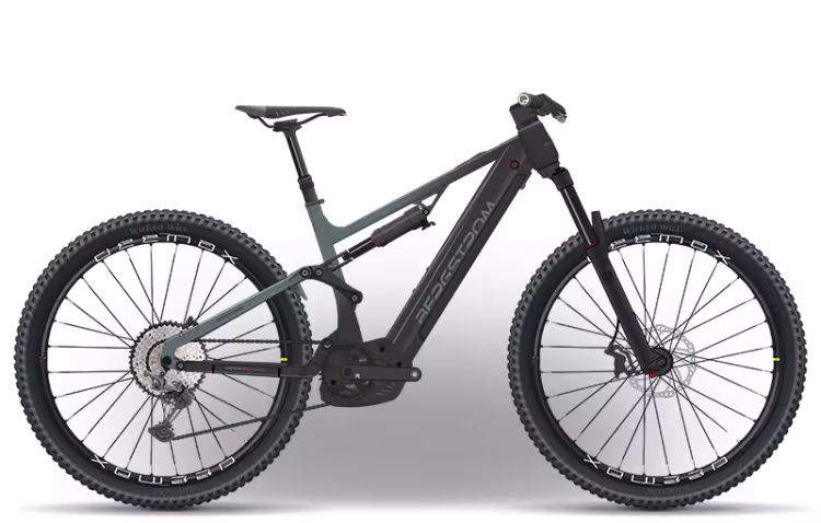 Bergstrom AXV 869