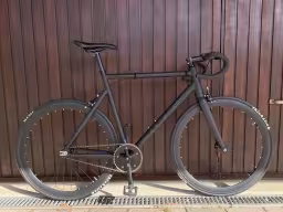 Other Single Speed