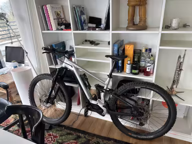Bergamont E-Trailster Expert