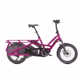 TERN Gsd S10