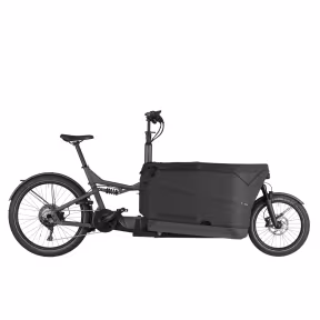 Riese & Müller Packster