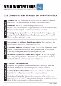 Flyer Gotour6 3.40