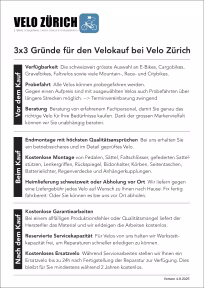 Flyer Gotour5 5.00