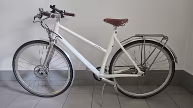 Schindelhauer Frieda