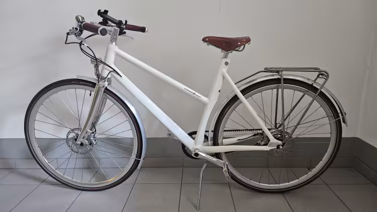 Schindelhauer Frieda