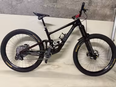 SPECIALIZED Enduro S-Works Custom