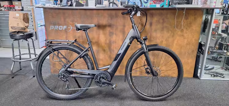 Other Pegasus Solero Evo 500Wh