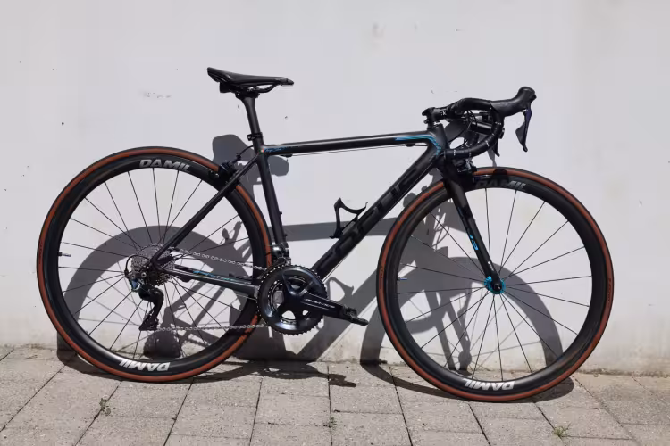 Focus Izalco Max