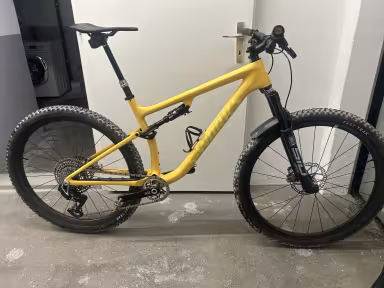 SPECIALIZED Epic Evo Sworks