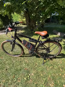 Riese & Müller Cruiser Mixte silent