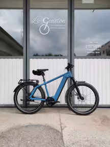 Riese & Müller Charger4 Gt Vario Select