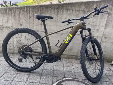 Bulls Copperhead EVO 1 29